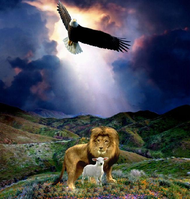 lion vs eagle
